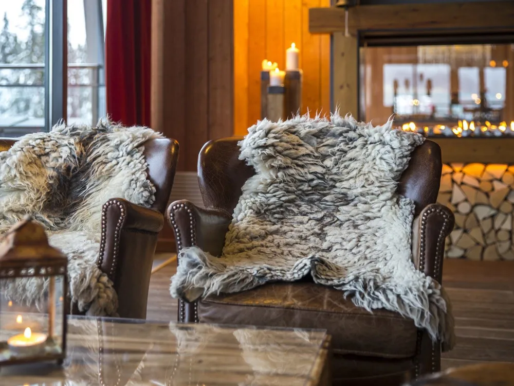 SkiStar Lodge Trysil 5731