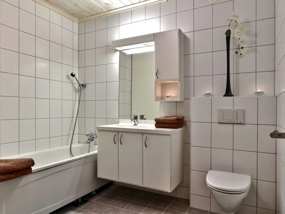 HEMSEDAL SKI LODGE A6
