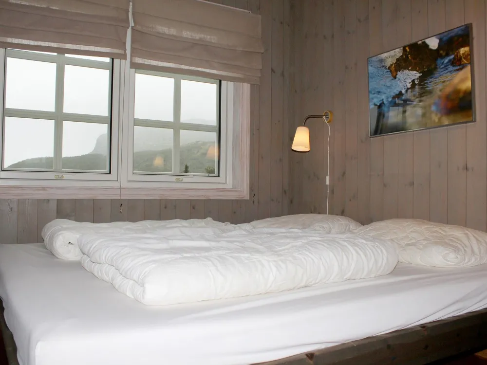 HEMSEDAL SKI LODGE A6